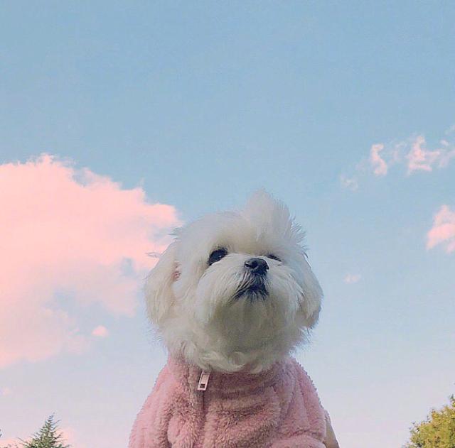 3fe94f1b31ea551a9497bd790940135c 3fe94f1b31ea551a9497bd790940135c