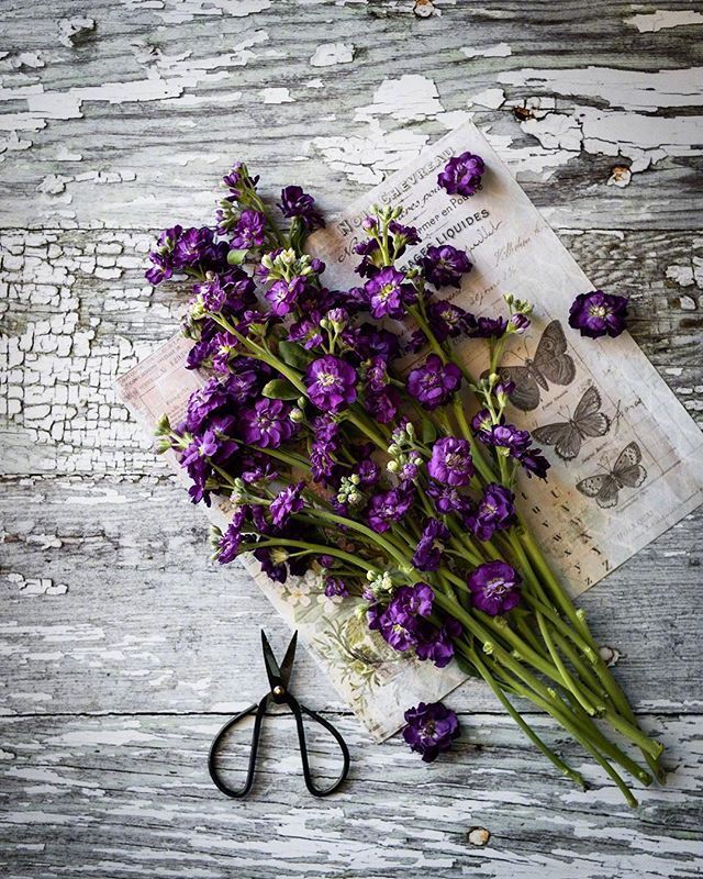 朋友圈最火的心灵鸡汤，句句入骨，发人深省-专注于利州本地信息和服务为一体的网站利州江畔