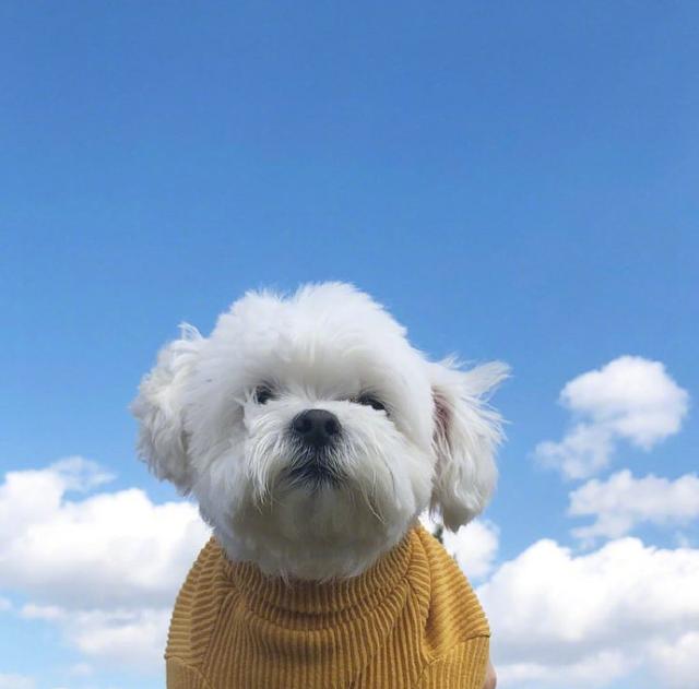 a67375414a4b12085770fa761d11a58f a67375414a4b12085770fa761d11a58f