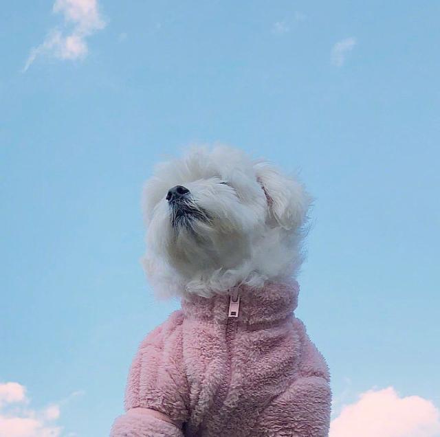 人人点赞的心灵鸡汤语录，句句值千金！-专注于利州本地信息和服务为一体的网站利州江畔