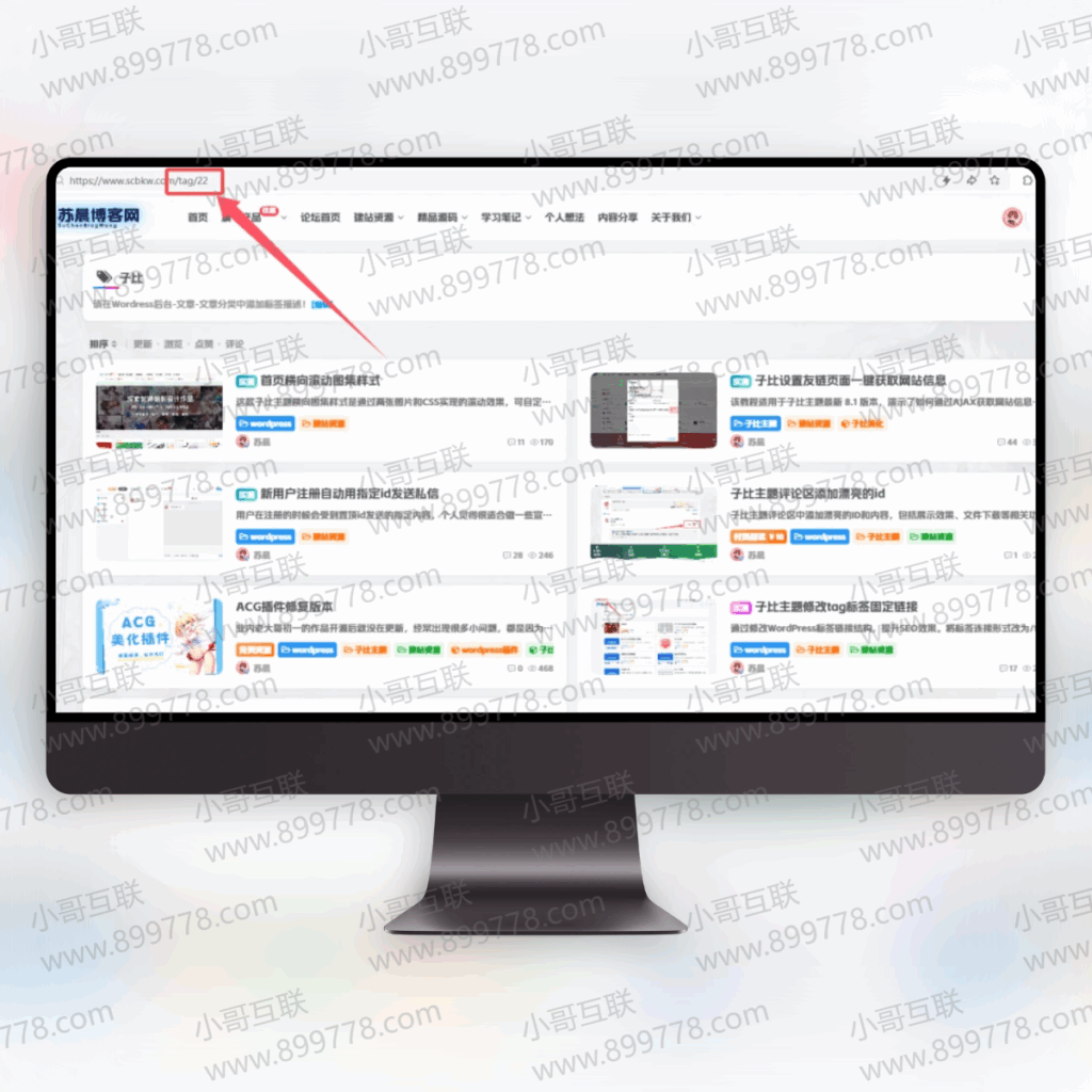 图片[1]-专注于利州本地信息和服务为一体的网站子比主题修改tag标签固定链接