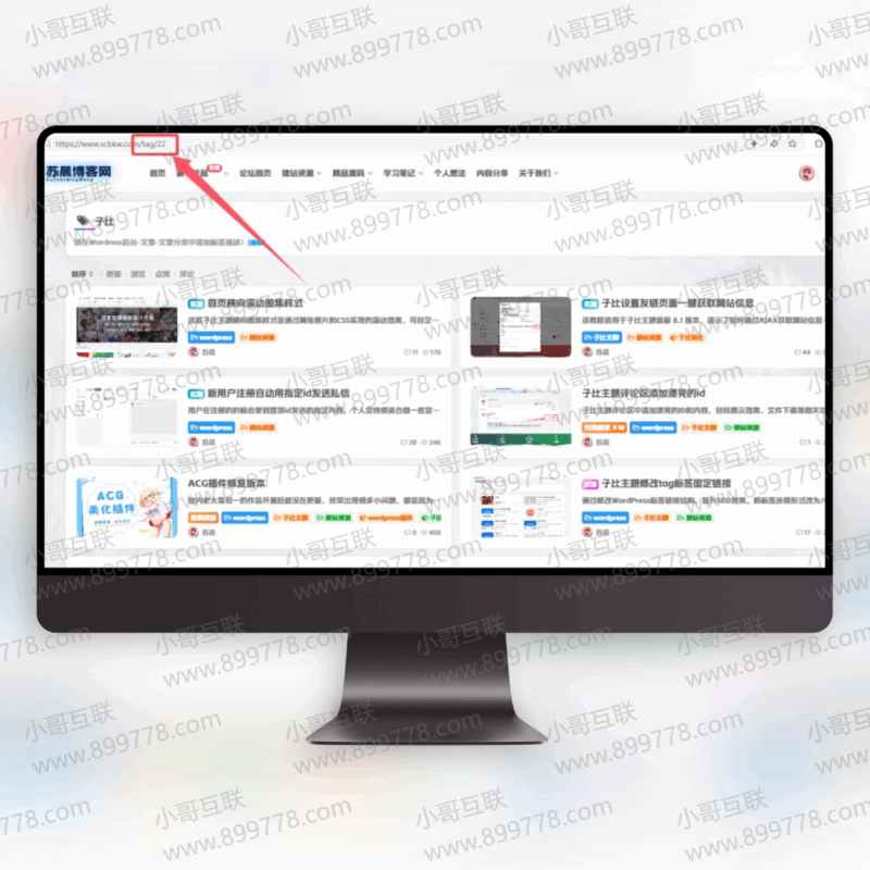 子比主题修改tag标签固定链接【更新】-专注于利州本地信息和服务为一体的网站利州江畔