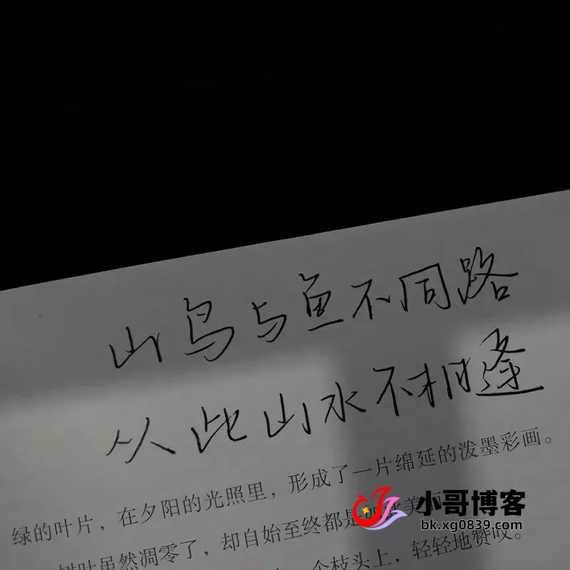 让人意难平的退场文案，后劲很大-专注于利州本地信息和服务为一体的网站利州江畔