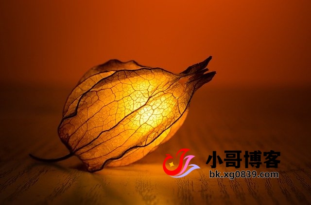 安慰身边失恋人的文案句子-专注于利州本地信息和服务为一体的网站利州江畔