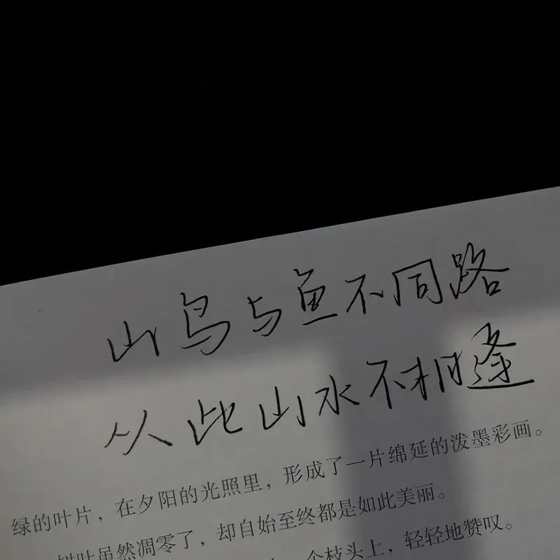 让人意难平的退场文案,后劲很大-专注于利州本地信息和服务为一体的网站利州江畔