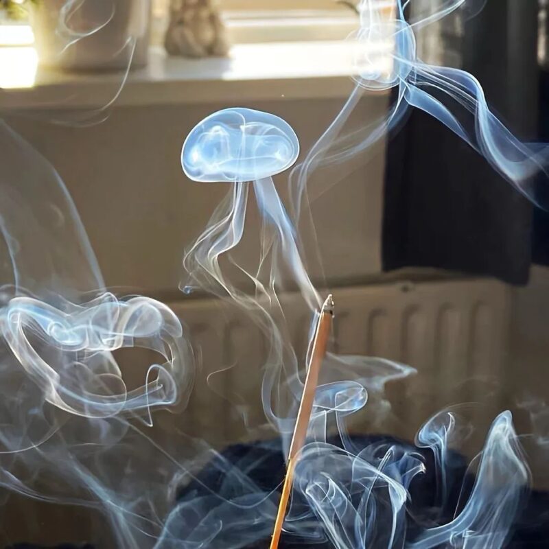 自由感十足的高级文案-专注于利州本地信息和服务为一体的网站利州江畔