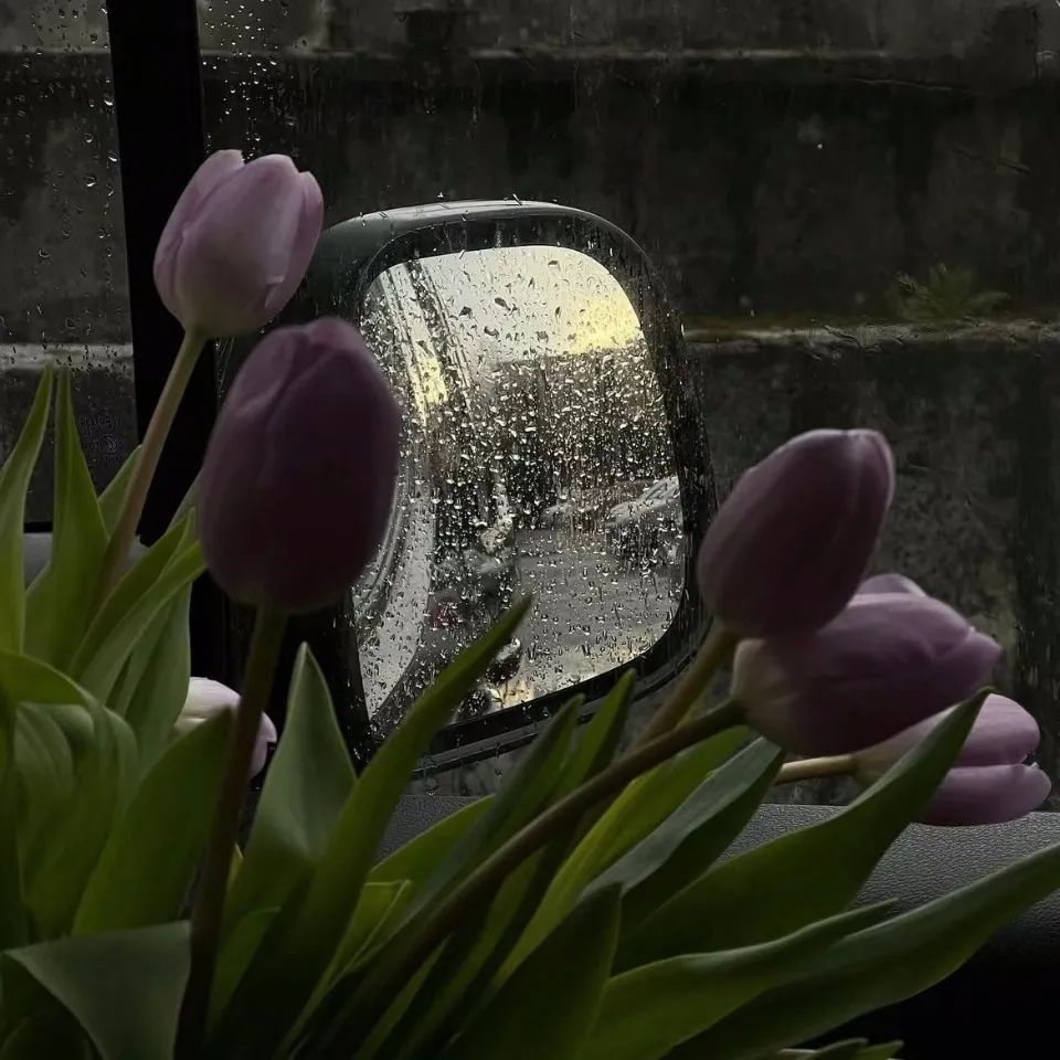 9948e9215216c0fb25d5ec4fdf5a826c 9948e9215216c0fb25d5ec4fdf5a826c