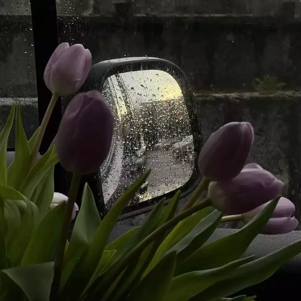 9948e9215216c0fb25d5ec4fdf5a826c