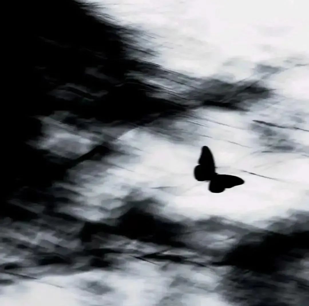 a29b7c29bb80da89947559da78e4ceec a29b7c29bb80da89947559da78e4ceec