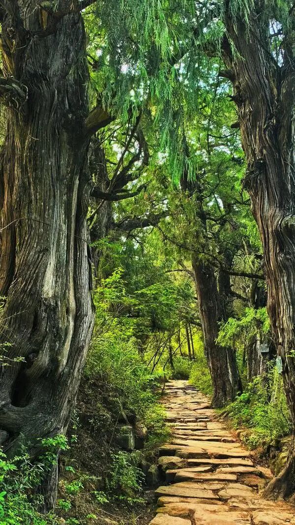 4D2DCF534DDB1EE48C6A43DC4DCF8753