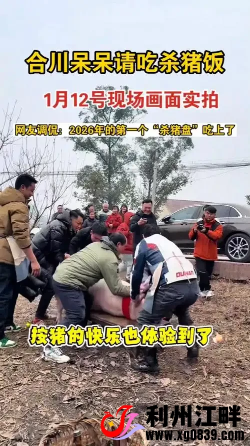 图片[3]-专注于利州本地信息和服务为一体的网站2026年1月，重庆合川女博主'呆呆'因父亲无力独自杀年猪，在社交平台发布求助视频